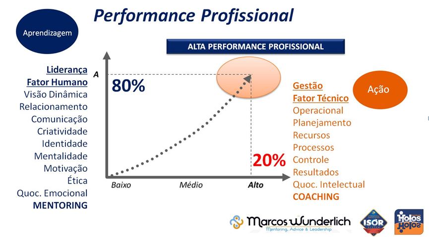 Gráfico representativo da influência do Coaching e Mentoring na Performance Profissional